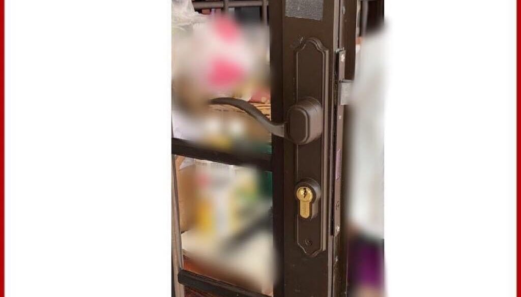 Gate Door Lockset with Handle Replacement