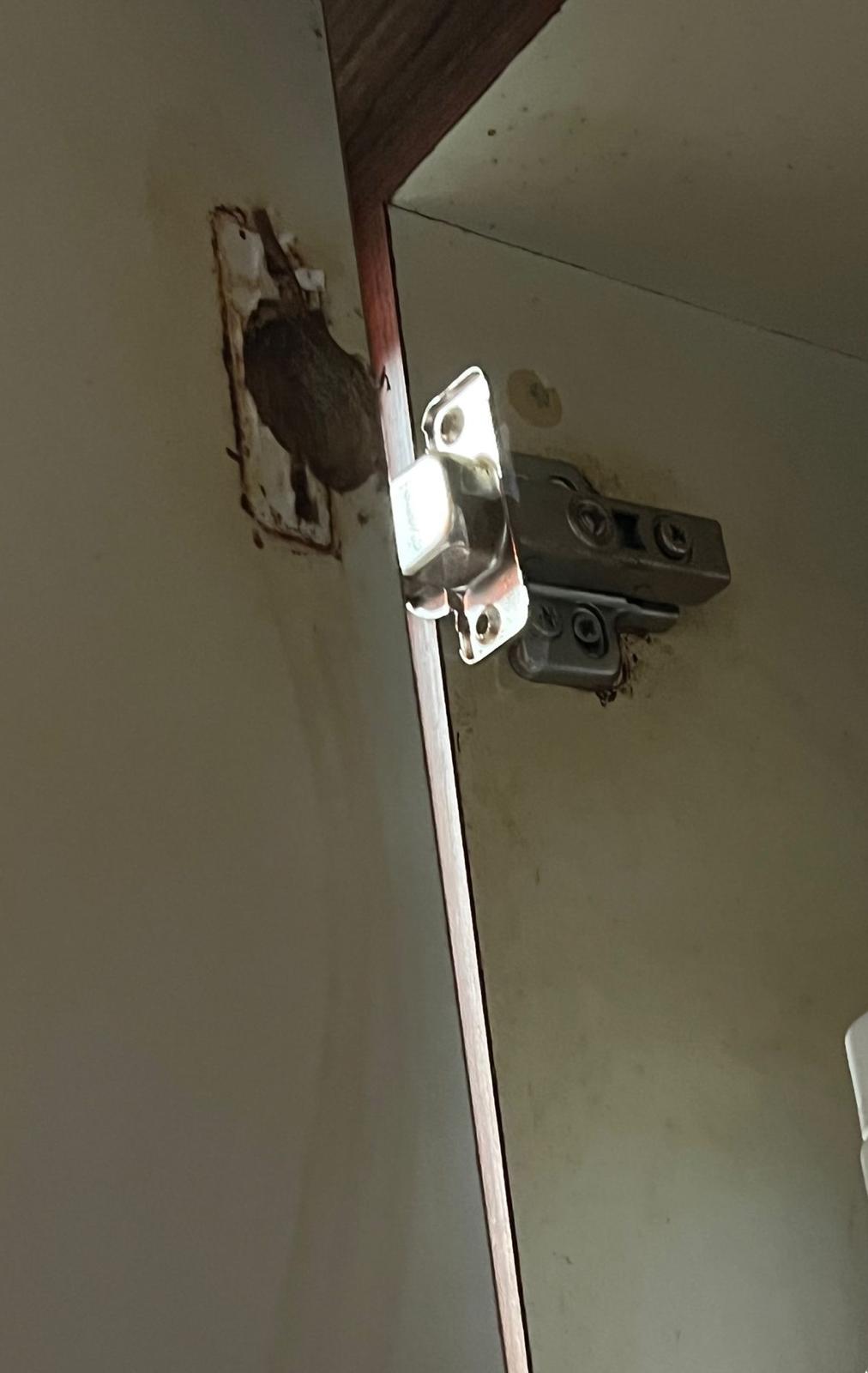 Cabinet Door Hinge Replacement In Anchorvale